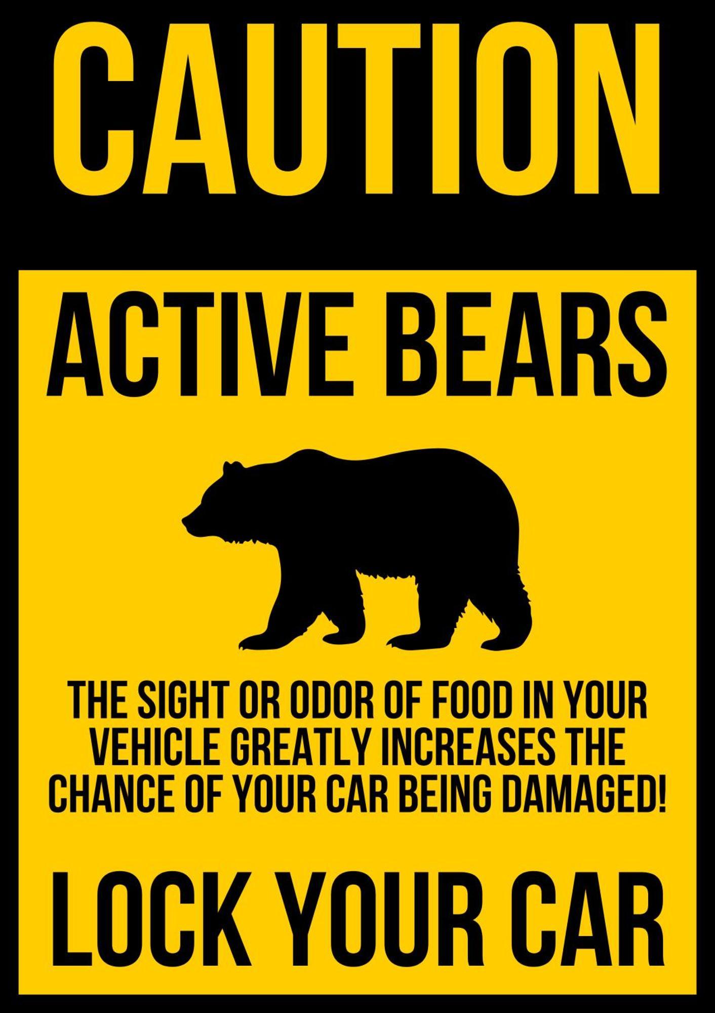 High Bear Activity, Handicap Ramp, Hot Tub, Fire Table, Game Room, Family